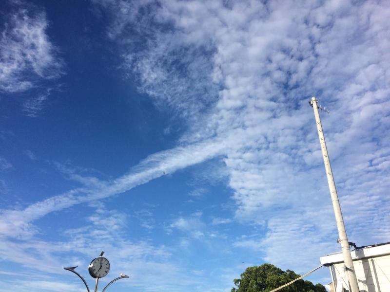 青空に飛行機雲が画像