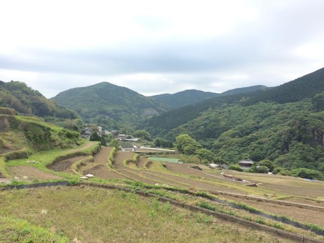 長崎チームのレッツ稲作「稲刈り」のお知らせ画像