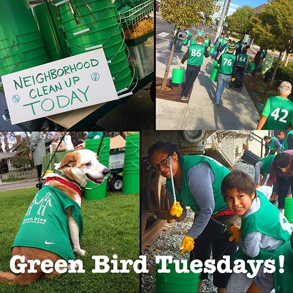 Green Bird Tuesday in Little People's Park画像