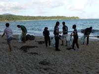 アジアユース人材育成プログラム　事前合宿でビーチクリーニング画像