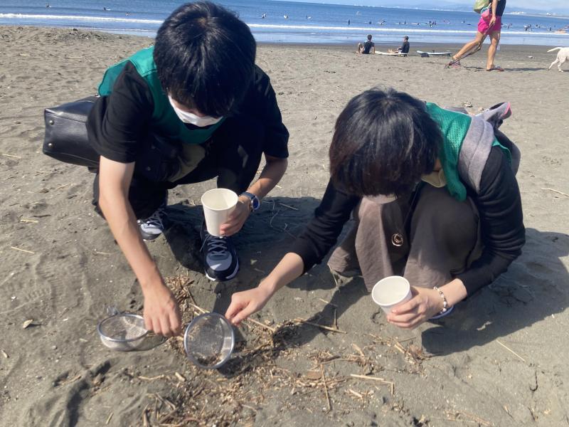 湘南！江の島片瀬西浜海岸マイクロプラスチックビーチクリーン！画像